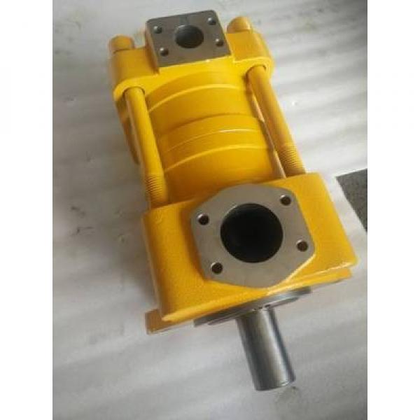 CQTM43-25V-5.5-1R-S1307J-C CQ Series Gear Pump Original import #1 image