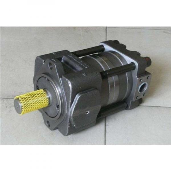 503A0012BH1H1ND2D2B1B1 Parker gear pump PGP50 Series Original import #2 image